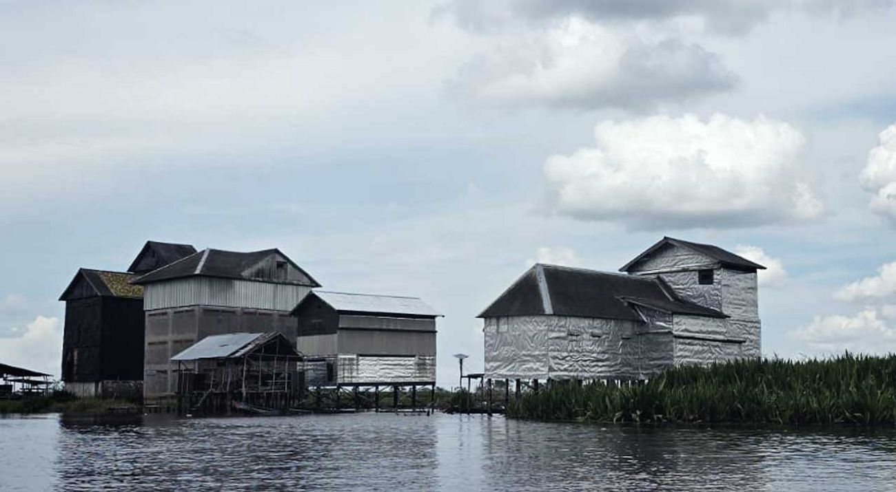 Usaha sarang burung walet