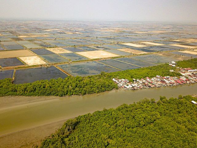 Desa Sungai Lumpur, desa terpadat di sepanjang pesisir Kab. OKI. Permukiman penduduk di desa ini dikelilingi oleh hutan mangrove, tambak, dan muara sungai.