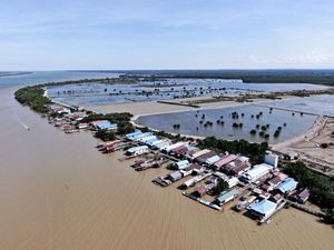 pegat batumbuk tambak ramah lingkungan
