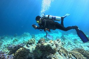 Monitoring terumbu karang TNS