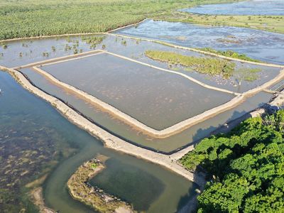 Tambak SECURE di Kampung Pegat Batumbuk, Kecamatan Pulau Derawan, Kabupaten Berau, Provinsi Kalimantan Timur