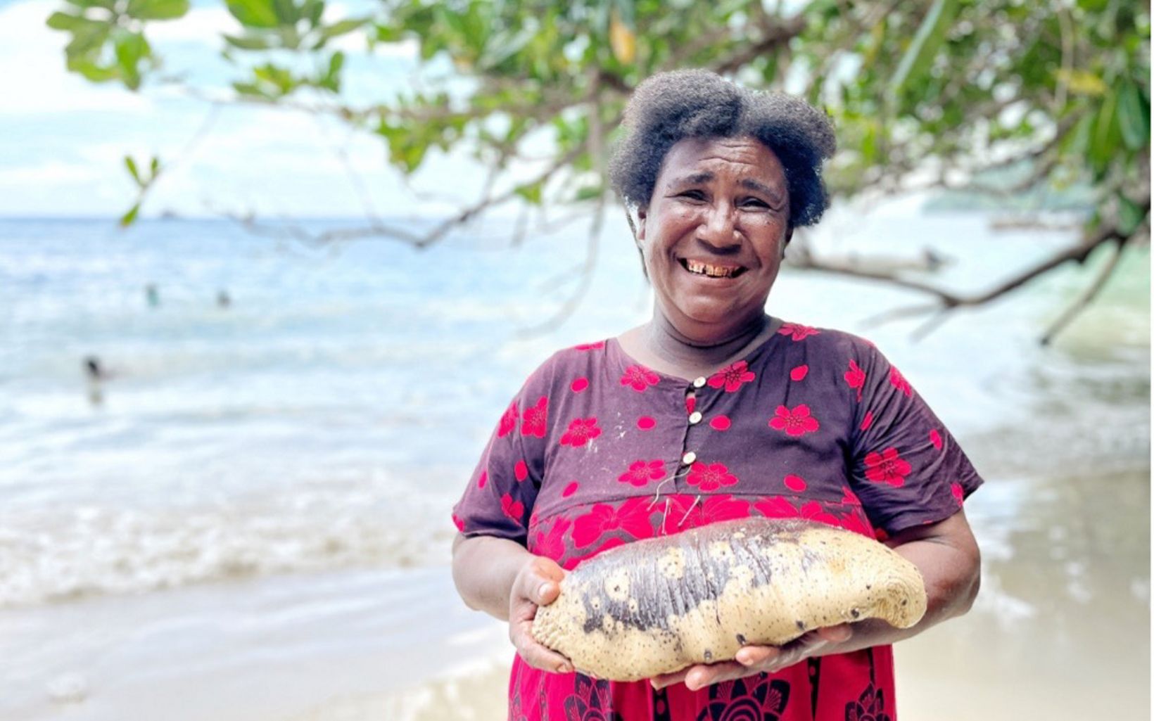 The Open Sasi One of the members of Waifuna is carrying sea cucumbers from the open sasi. © Awaludinnoer/YKAN
