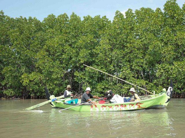 Ekosistem mangrove yang sehat mendukung produktivitas perikanan.