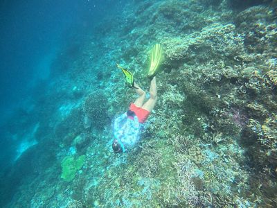 Survei pemutihan karang di Sawandarek, Raja Ampat