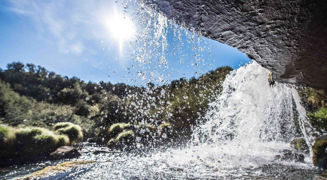 freshwater