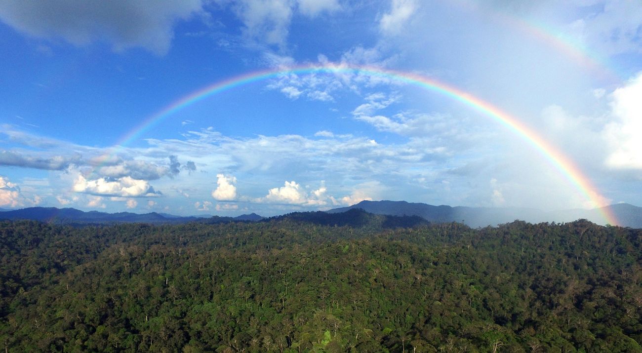 Rainbow Kelay