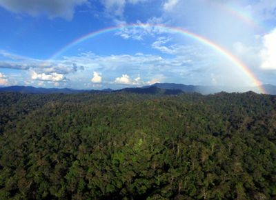 Pelangi di atas kawasan hutan lindung Wehea, Kalimantan Timur.