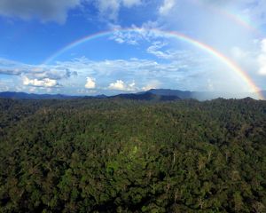A rainbow above the protected forest area of Wehea, East Kalimantan.