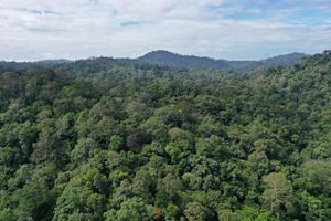 Pada 2016, Pemerintah Provinsi Kalimantan Timur mencanangkan Kesepakatan Pembangunan Hijau yang dilakukan bersama dengan para pihak.