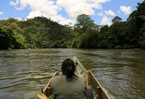 Warga Long Duhung Menelusuri Sungai