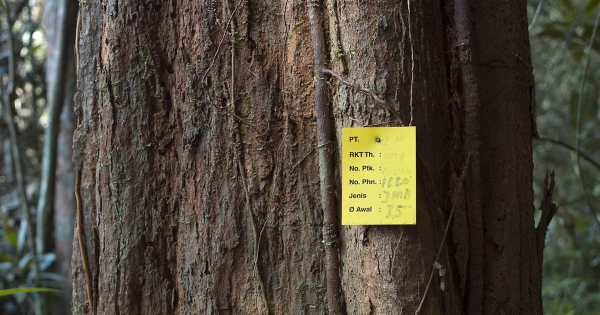 Reduce Logging RIL-C (Reduce Impact Logging)