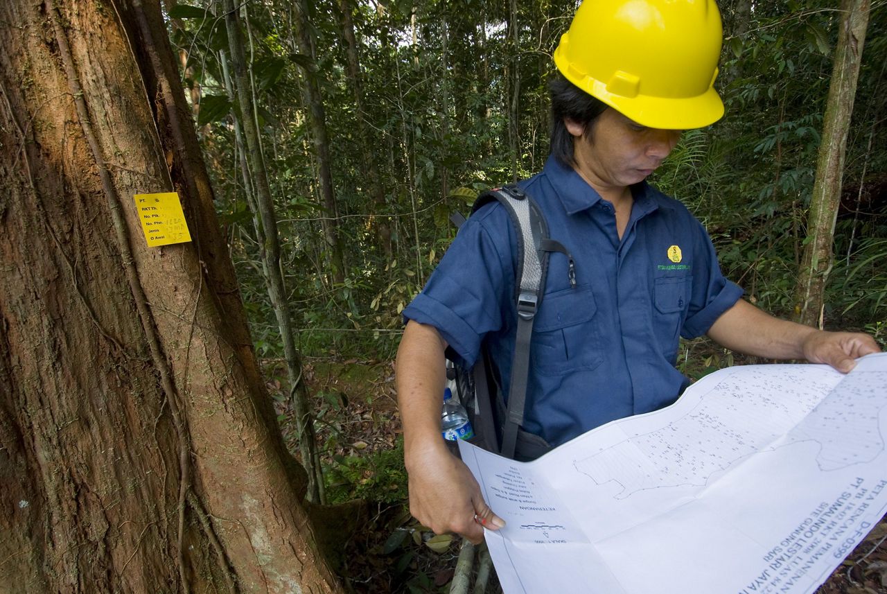 Climate-Smart Forestry | The Nature Conservancy