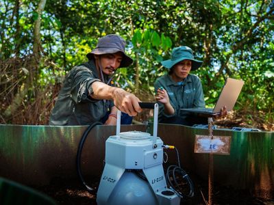 Opinion Editorial by Musnanda Satar