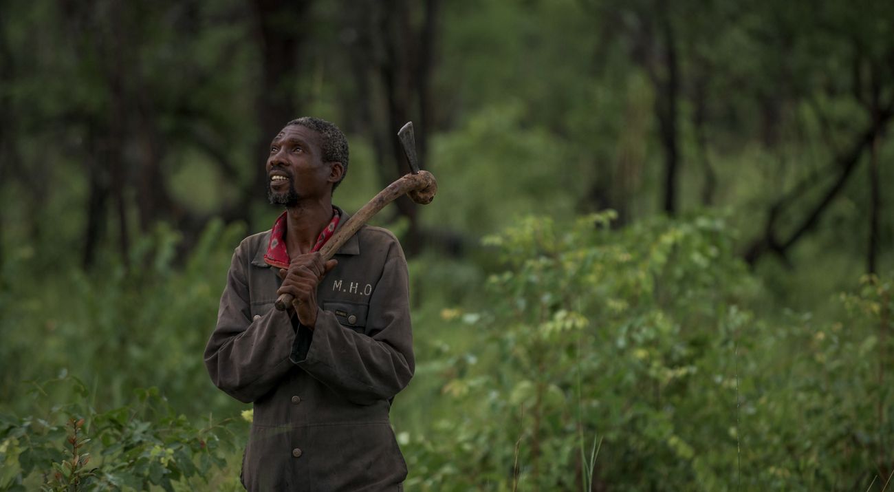 A man holding an axe stands in the forest