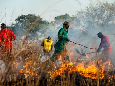 Man running across controlled burn line