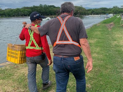 Supporting Fellow Farmers