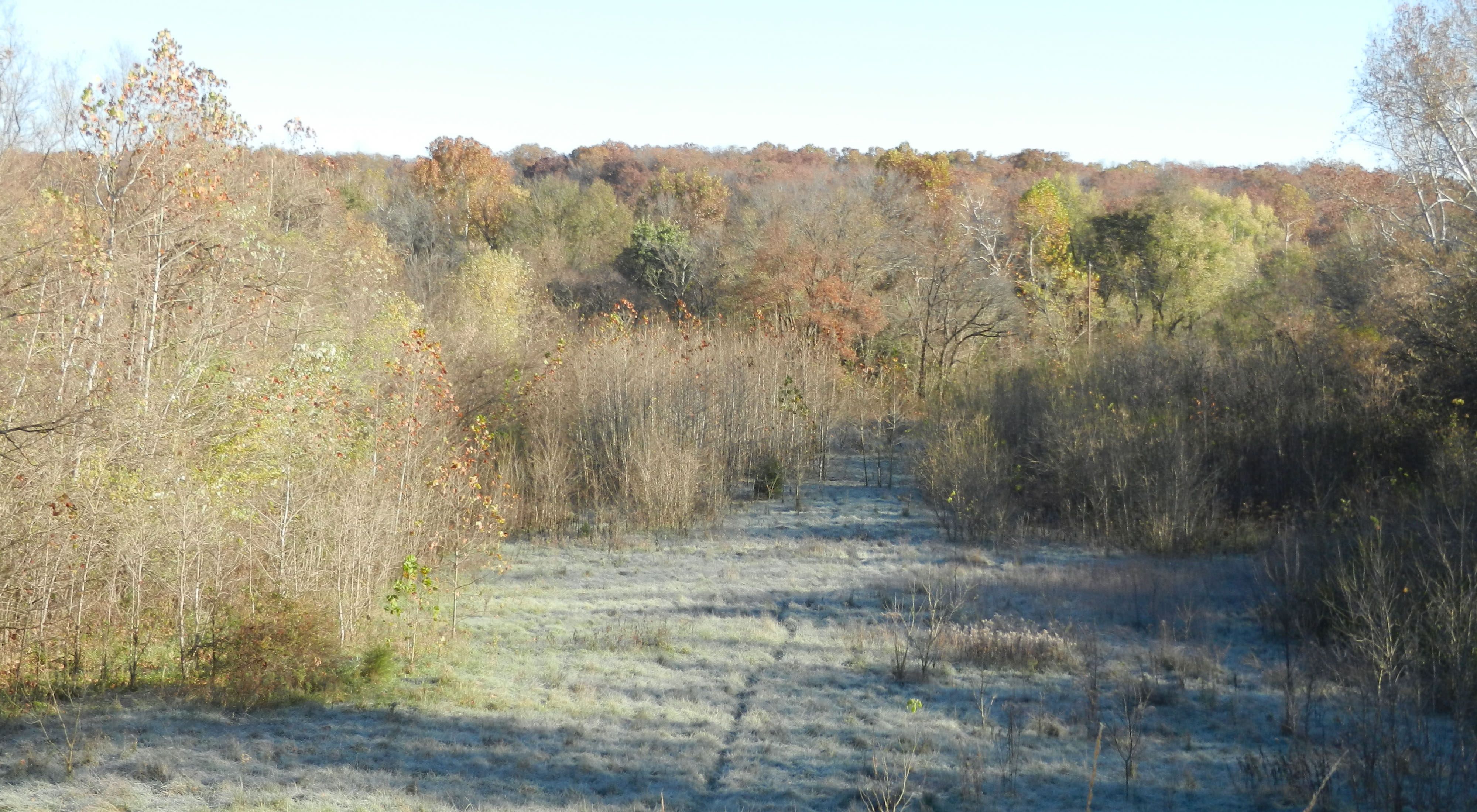 Zahorsky Woods offers numerous easy hiking trails with beautiful views of the area.