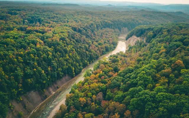 Drone footage from the Zoar Valley in New York
