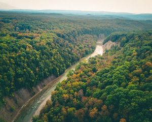 An aerial view of Zoar Valley forests and a river.
