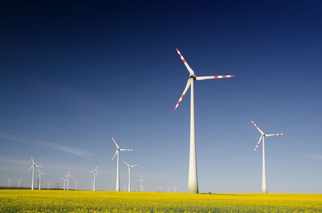 Wind turbines in a rape seed field in Austria.