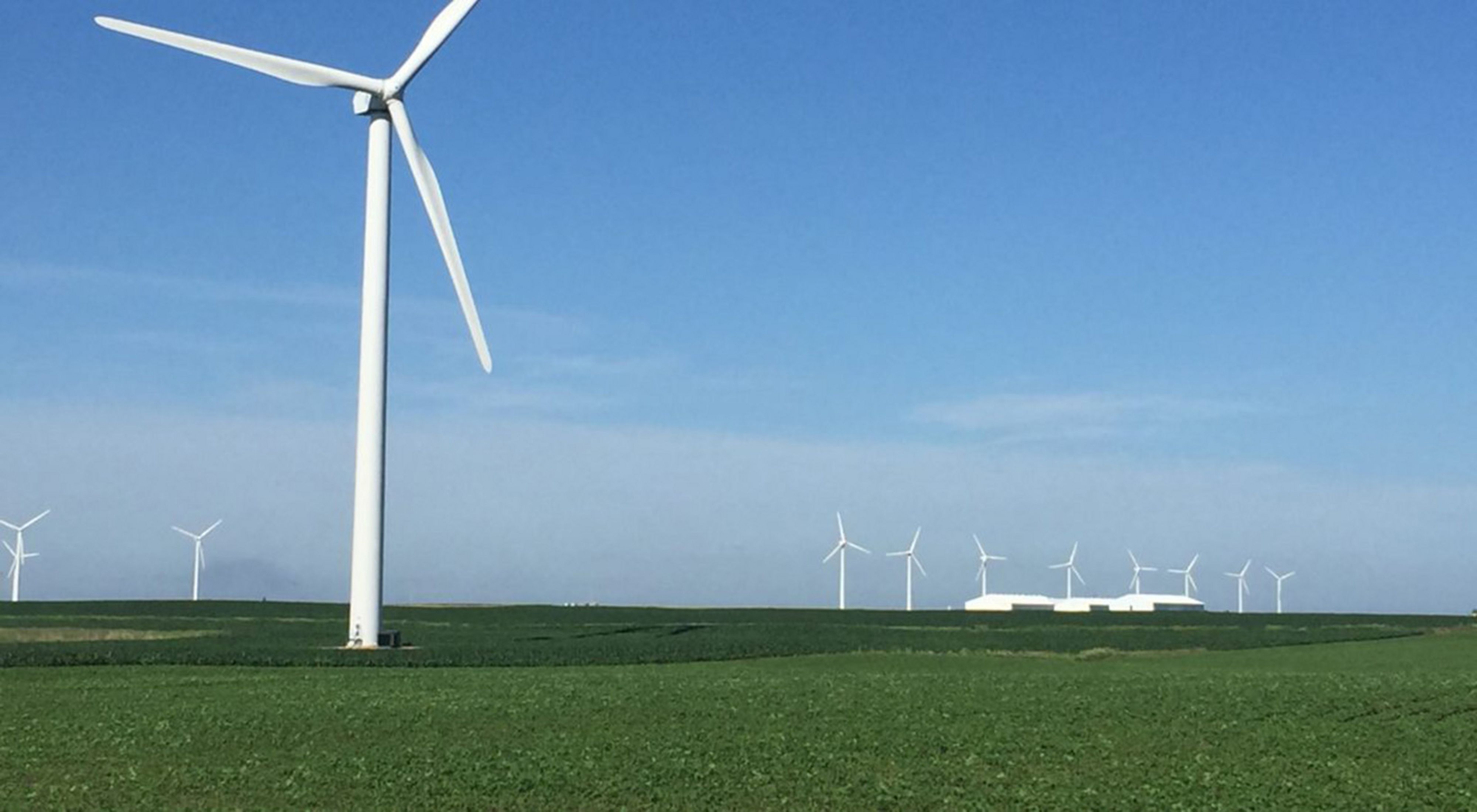 Photo of a wind turbine in a broad, flat Iowa field, with other turbines in background.