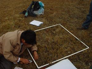 A person hovering over a grid on the ground taking measurements.