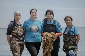 Donna Collins-Smith,Tela Troge, Darlene Troge, and Danielle Hopson Begun pose for a portrait with some of the sugar kelp that they harvested that day. 