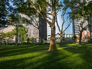 In 2012, this 12-acre park in lower Manhattan was inundated with salt water from Super Storm Sandy’s storm surge.  Despite that catastrophe event, 250 of the park’s mature trees were able to survive.  The destruction from the storm provided an opportunity to rethink the landscaping, with features that will now function as the city’s first line of defense against hurricanes. The Robert Moses era formal paved walkways have been removed, and the walkways that remain are now made of pervious materials.  The removal of unnecessary paths created more room for open lawns, which are planted with native grasses.  Trees can now happily spread their roots, in areas free of synthetic fertilizers and pesticides.  A variety of native trees have been planted in the park, bringing the total number to 530.  This park is important habitat for New York’s local and migrating bird populations.