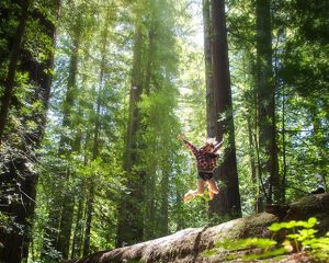 Taken in the Northern California redwood groves.