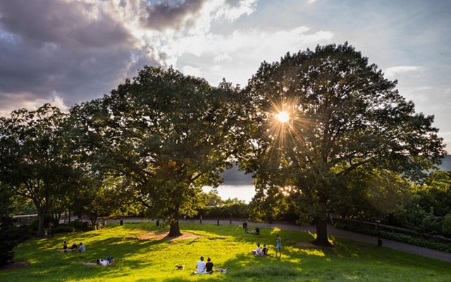 La gente descansa a la sombra de los árboles en Billings Lawn of Fort Tryon Park. El río Hudson en Nueva York es visible.